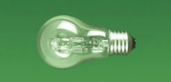 Halogen Eco